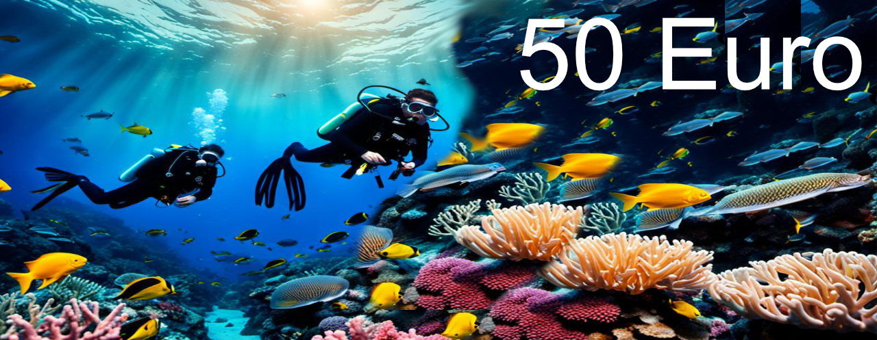 50,00 Euro