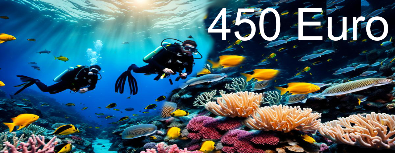450,00 Euro