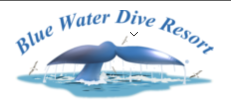 Blue Water Dive