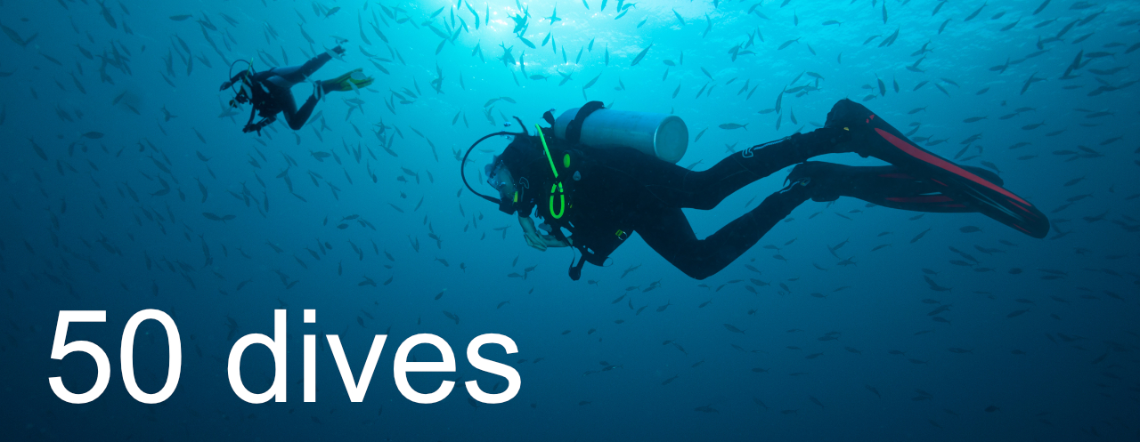 50 dives