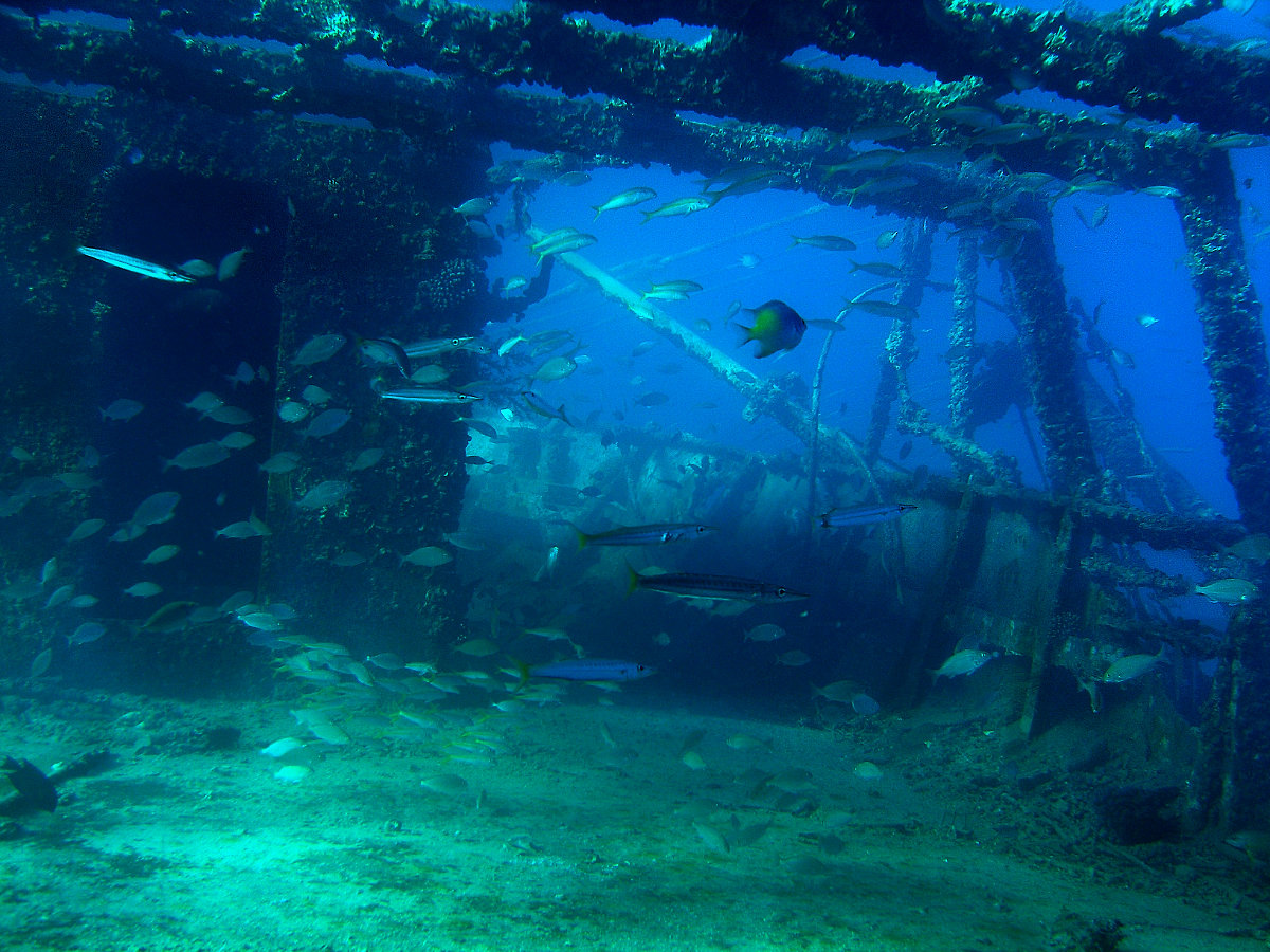 Wracktauchen Wreck tour Hurghada