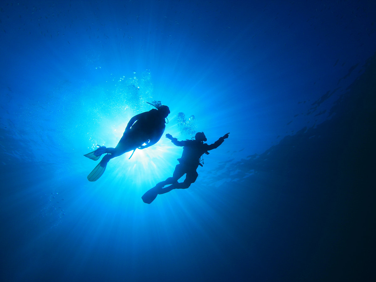 Navigation Specialty course - Underwater Navigation
