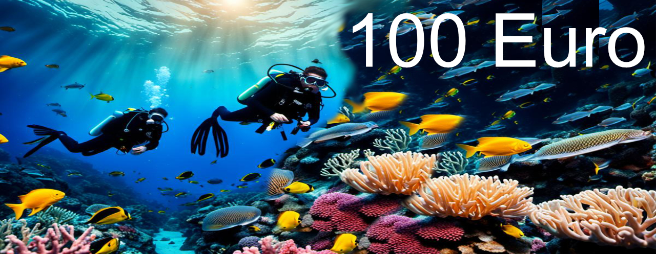 100,00 Euro